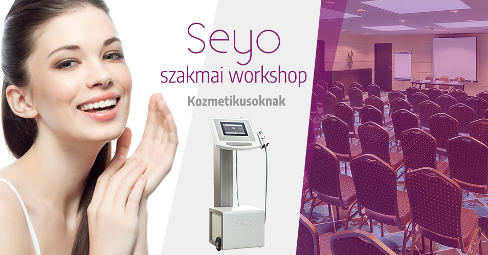 Seyo szakmai workshop